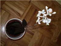 3cf8d175-Picture 1463.jpg